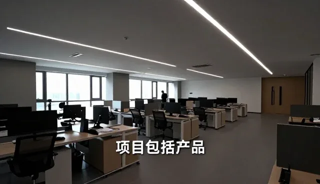 项目包括产品有哪些特点？